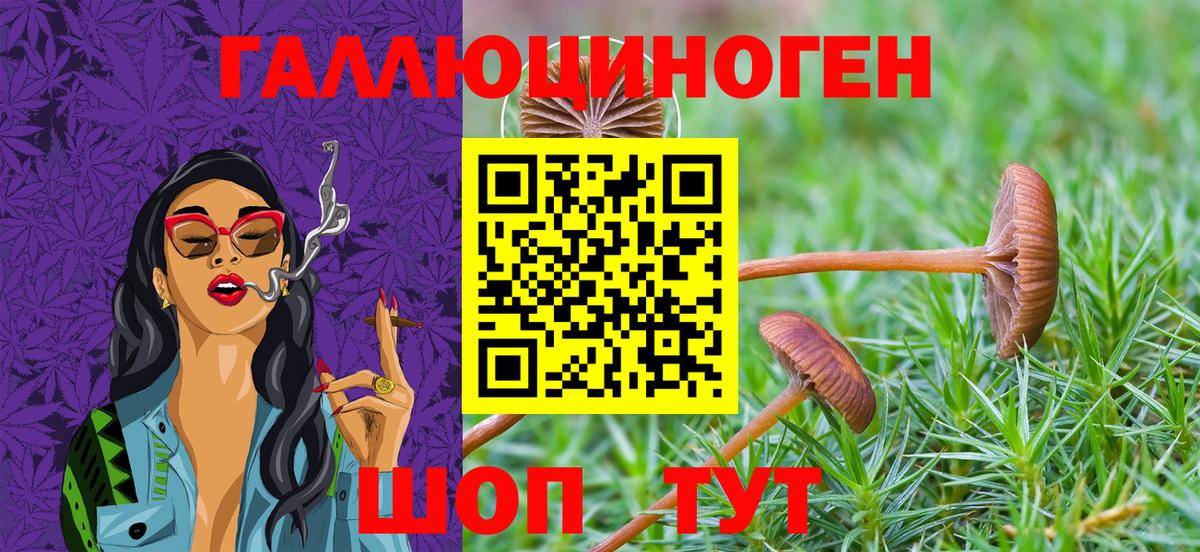 Псилоцибиновые грибы Magic Shrooms  Псилоцибиновые грибы мухоморы  Назрань  Вход с VPN 